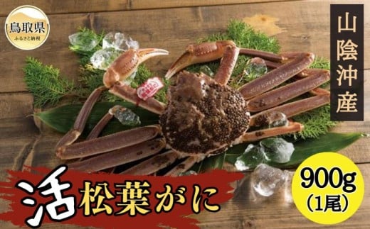 F24-123 活ずわいがに(松葉がに) 【期間・数量限定】 鳥取県 おすすめ 松葉かに ズワイガニ鳥取県120000魚介・海産物カニ