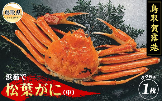 E25-009 I`@l䥂ŏtɁijyԌz 挧  {C t YCKj挧60000ECYJj