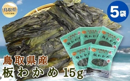 あ25-002 鳥取県産 板わかめ15g 5袋セット鳥取県20000魚介・海産物のり・海藻