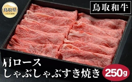 B25-050 a[XԂԂĂ 250g挧20000