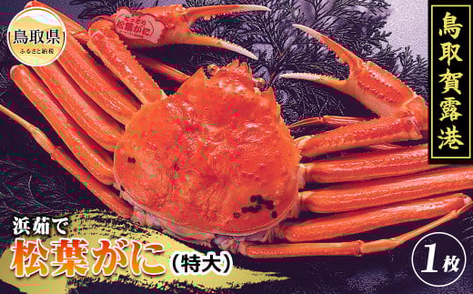 F25-028 iΕpjI`@v~Al䥂ŏtɁyԌz挧  I` {C l䥂   Kj I tKj YCKj挧120000ECYJj