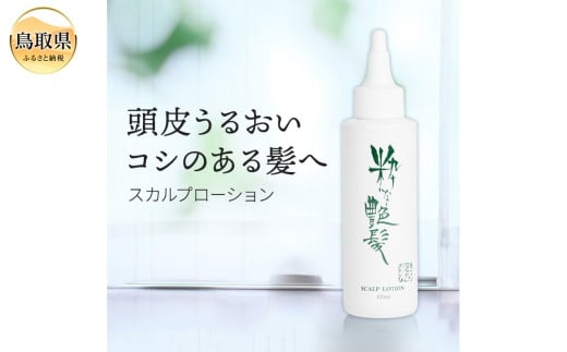 B25-080 ȉXJv[V挧20000G݁EpiϐEtEei