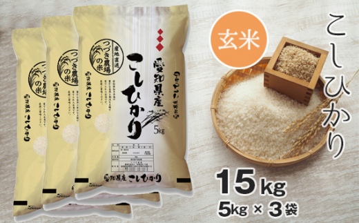 No.139 yāz ߘa5NY Â_̃RVqJ 15kg ^  Ђ mmv䒬20000āEpāEGāEāE
