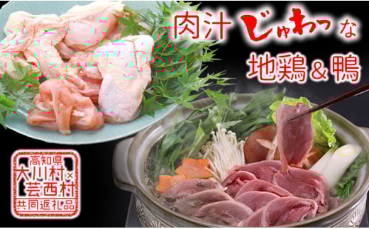【大川村と芸西村の共通返礼品】はちきん地鶏 まるごと一羽おためしセット 約1kg&土佐鴨 鴨鍋肉(2〜3人前)セット 地鶏 もも肉 むね肉 ささみ 手羽先 手羽元 鶏肉 鴨 鴨肉 高知県 大川村 F
