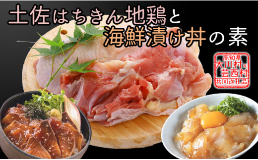 y쑺ƌ|̋ʕԗiz͂n{  1kg^ƃu̒И̑fZbg 800g n{  { ^ Ԃ   CN ǂԂ Ƃ Ƃɂ  m 쑺 F6R-015m