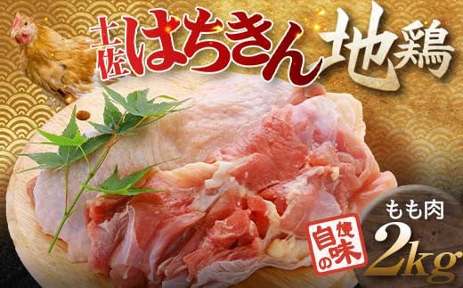 y͂n{  2kg n{  { Ƃ Ƃɂ  m 쑺 F6R-006m쑺19000{