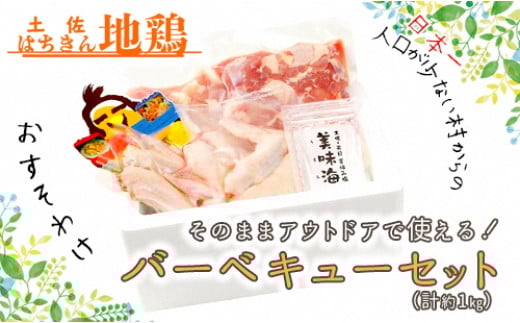土佐はちきん地鶏 バーベキューセット(2〜3人前) もも肉 むね肉 手羽先 天日塩 BBQ アウトドア 料理 地鶏 モモ肉 ムネ肉 胸肉 鶏肉 とり肉 とりにく 肉 高知県 大川村 F6R-009高知県大川村12000