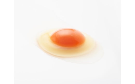 【リピート御礼】抜群に美味しい!!濃厚たまご!!アスタ卵(定期便月1回×3回発送) FCCS036002新潟県燕市36000卵・乳製品卵(鶏、烏骨鶏等)