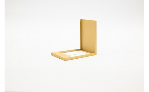 [FOR] METAL CASE (h) -  GOLD SERIES - GD01 ALUMINIUM FC022034Vs22000G݁Epi[