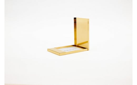 [FOR] METAL CASE (h) -  GOLD SERIES - GD02 STAINLESS FC027011Vs27000G݁Epi[