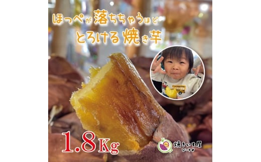 Ăҁ[̏nⓀĂ 1.8kg FC010302Vs10000؁ÊႪEC