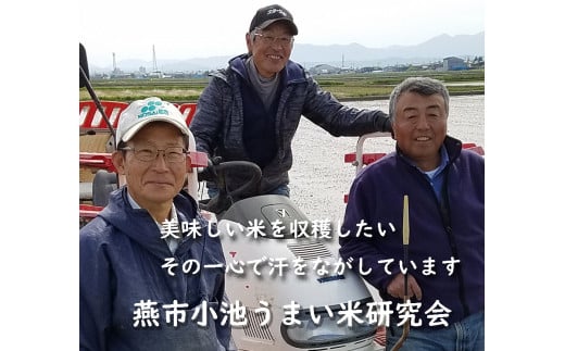 【令和7年産】おかずのいらないコシヒカリ「つばめ返し」白米5kg FC015013新潟県燕市15000米・パン白米