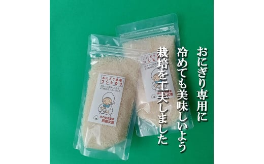 【令和7年産】おにぎり専用コシヒカリ 白米2合×10袋 FC020097新潟県燕市20000米・パン白米