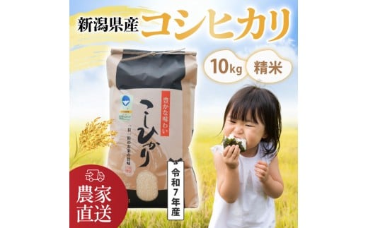 【令和7年産・コシヒカリ】南波農園の特別なお米 精米10kg/新潟県燕市産 FC024007新潟県燕市24000米・パン白米