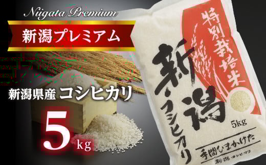 【令和7年産】新潟プレミアム 特別栽培米 コシヒカリ 白米5kg FC016017新潟県燕市16000米・パン白米