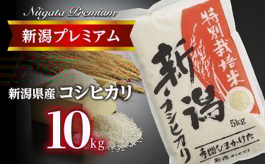 【令和7年産】新潟プレミアム 特別栽培米 コシヒカリ 白米10kg FC032021新潟県燕市32000米・パン白米
