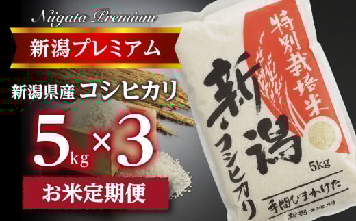 【令和7年産】『定期便』新潟プレミアム 特別栽培米 コシヒカリ 白米5kg × 3か月 FC047006新潟県燕市47000米・パン白米