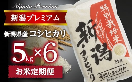 【令和7年産】『定期便』新潟プレミアム 特別栽培米 コシヒカリ 白米5kg × 6か月 FC093001新潟県燕市93000米・パン白米