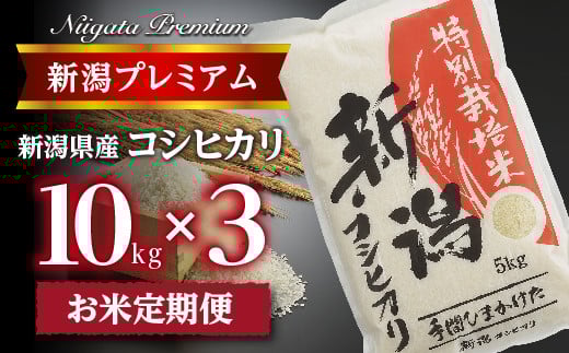 yߘa7NYzwցxVv~A ʍ͔| RVqJ 10kg × 3 FC093004Vs93000āEp