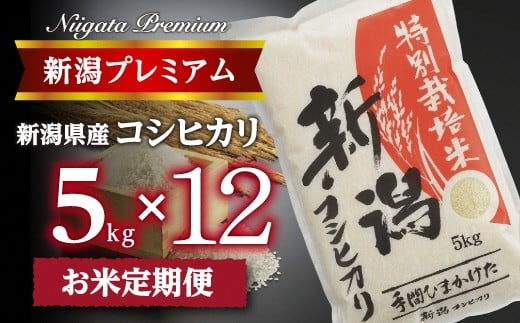 【令和7年産】『定期便』新潟プレミアム 特別栽培米 コシヒカリ 白米5kg × 12か月 FC185001新潟県燕市185000米・パン白米