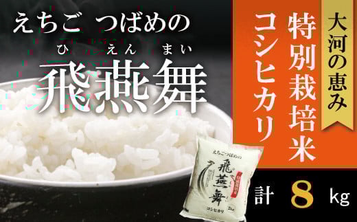 令和7年産 厳選コシヒカリ えちごつばめの飛燕舞 白米8kg FC028042新潟県燕市28000米・パン白米
