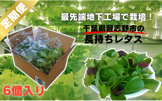y6ցz_nHꂩ琶܂ꂽ^k͔|̒VN^XI2lߍ킹iv6×6jtKus35000؁Ê̑ 