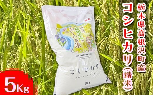 栃木県高根沢町産コシヒカリ(精米)5kg ※北海道・沖縄・離島への配送不可栃木県高根沢町17000米・パン白米