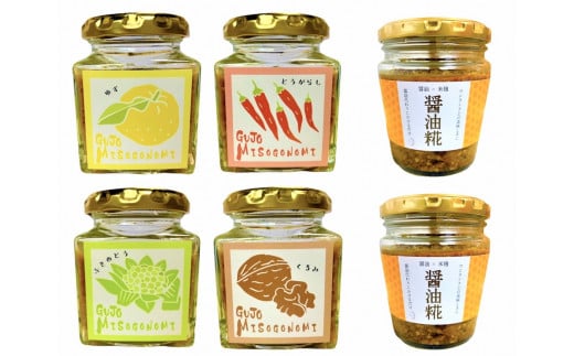 【A-66】郡上みそごのみ(120g×4種類)+醤油糀(200g×2個)セット 食品  調味料  みそ  セット 詰め合わせ 10000円岐阜県郡上市10000調味料・油味噌