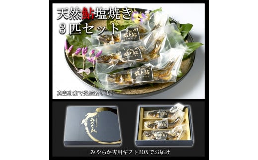 【G0093】天然鮎専門店みやちかの【天然鮎塩焼き】長良川郡上鮎 3匹岐阜県郡上市20000魚介・海産物鮮魚