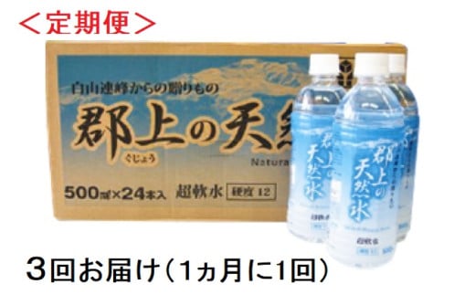 【R-10】(定期便)清流長良川源流「郡上の天然水」500ml(24本入)1箱×3回お届け岐阜県郡上市45000お茶・飲料水・ミネラルウォーター