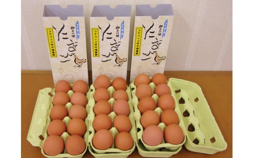 【A-206】新鮮たまご 郡上八幡コケコッコ村の地養卵『美濃のしずく』30個入ギフトセット 卵 平飼い岐阜県郡上市10000卵・乳製品卵(鶏、烏骨鶏等)