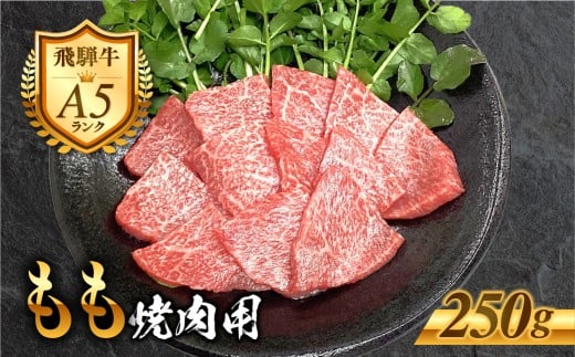 mA5nˋ  Ăp 250g Ԑg  Ă wV[    јa a BBQ ˋ   ē Ⓚ n 󕨎YH 10000~ 1~ [G0026]򕌌Ss10000