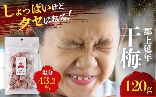 郡上延年干梅 120g / プラムナチュール 暑さ 対策 食品 漬物 梅干し 梅干し しそ梅 5000円 G0071岐阜県郡上市5000鍋セット・総菜・加工食品漬物・梅干・キムチ