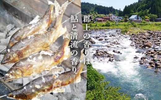 【尾数が選べる】郡上鮎 長良川の天然鮎 大サイズ(約21cm) 10尾 / 食品 魚介類 水産加工品 その他水産物 鮎 アユ 30000円 G0077d岐阜県郡上市30000魚介・海産物鮮魚
