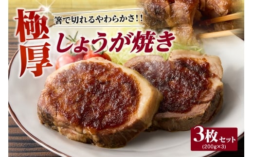 極厚しょうが焼き 3枚セット愛知県高浜市14000鍋セット・総菜・加工食品総菜