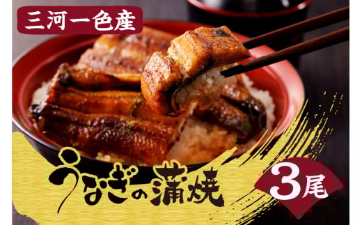 三河一色産うなぎの蒲焼3尾愛知県高浜市36000魚介・海産物うなぎ