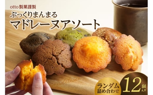 otto製菓謹製 ぷっくりまんまるマドレーヌアソート12個愛知県高浜市14000菓子・スイーツ焼き菓子