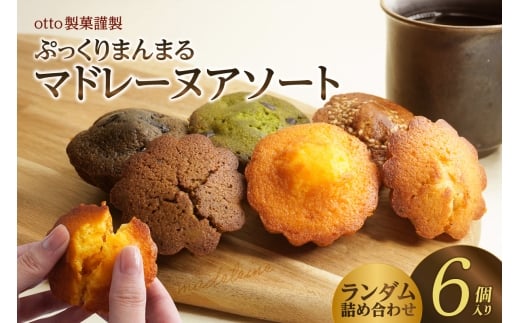 otto製菓謹製 ぷっくりまんまるマドレーヌアソート6個愛知県高浜市6000菓子・スイーツ焼き菓子