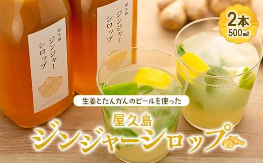屋久島ジンジャーシロップ 特大(500ml)×2本セット鹿児島県屋久島町27000鍋セット・総菜・加工食品その他 鍋セット・総菜・加工食品