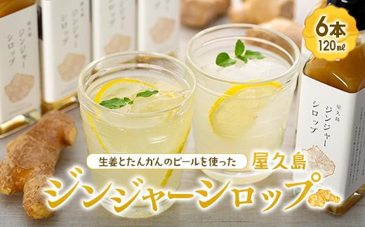 屋久島ジンジャーシロップ 小(120ml)×6本セット鹿児島県屋久島町22000鍋セット・総菜・加工食品その他 鍋セット・総菜・加工食品
