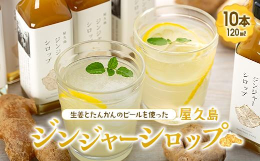 屋久島ジンジャーシロップ 小(120ml)×10本セット鹿児島県屋久島町35000鍋セット・総菜・加工食品その他 鍋セット・総菜・加工食品