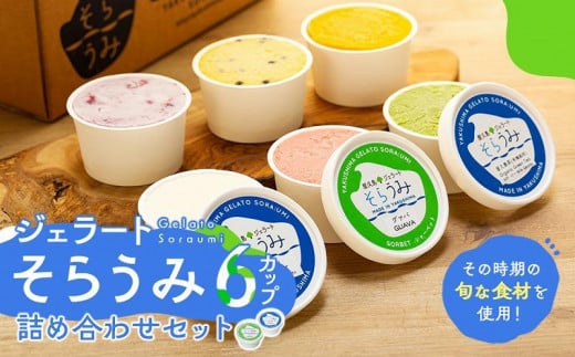 手作り ジェラート 6カップ 詰め合わせ セット<屋久島産の新鮮食材を使用>鹿児島県屋久島町10000菓子・スイーツアイス・ジェラート