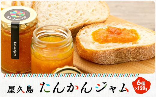 屋久島たんかんジャム6個セット鹿児島県屋久島町24000鍋セット・総菜・加工食品ジャム・はちみつ