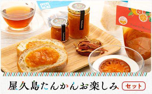 屋久島たんかんお楽しみセット鹿児島県屋久島町17000鍋セット・総菜・加工食品ジャム・はちみつ