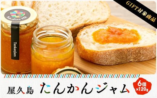 【ギフト用】屋久島たんかんジャム6個セット鹿児島県屋久島町24000鍋セット・総菜・加工食品ジャム・はちみつ