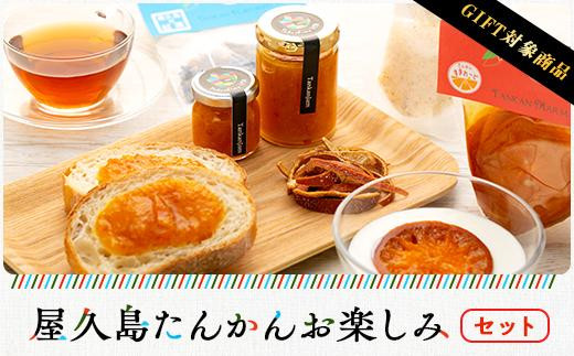 【ギフト用】屋久島たんかんお楽しみセット鹿児島県屋久島町17000鍋セット・総菜・加工食品ジャム・はちみつ