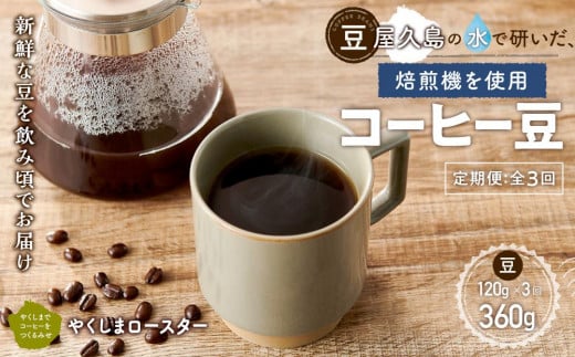 【定期便 全3回】【豆】屋久島の水で磨き、機械を使わずに焙煎するコーヒー豆鹿児島県屋久島町12000お茶・飲料コーヒー・紅茶