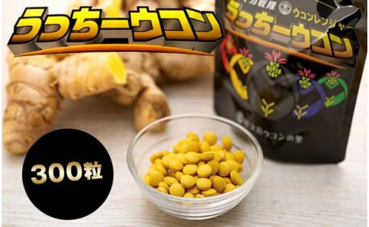 うっちーウコン粒 300粒鹿児島県屋久島町14000鍋セット・総菜・加工食品その他 鍋セット・総菜・加工食品