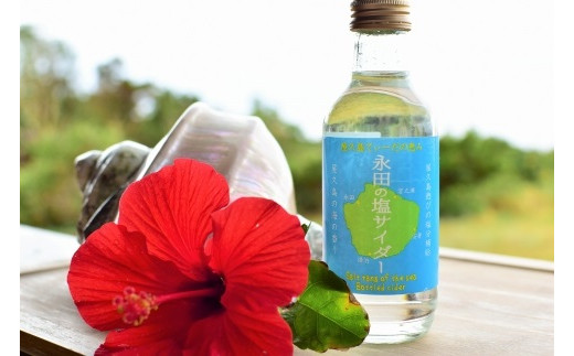 永田の塩サイダー(3本入り)鹿児島県屋久島町4000お茶・飲料その他 お茶・飲料