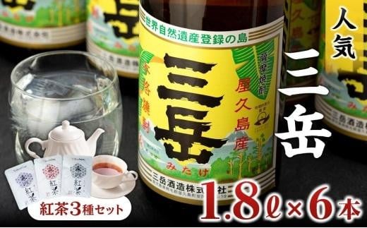 焼酎一升瓶 三岳6本+紅茶セット鹿児島県屋久島町59000酒・アルコール焼酎